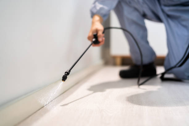 Licensed Termite Control service in Paisley, FL - Nex Pest Control