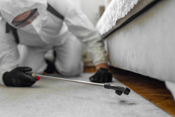 Professional Termite Control technician working in Paisley, FL