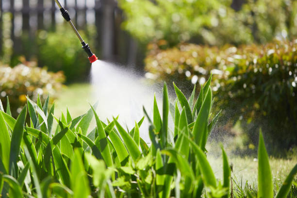 24/7 Emergency Termite Control experts in Paisley, FL