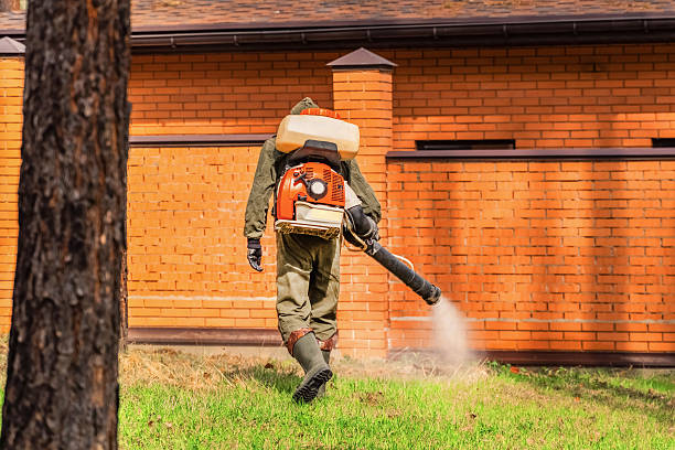 Top rated local Termite Control specialists in Paisley, FL